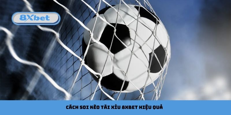 Cách soi kèo tài xỉu 8xbet hiệu quả